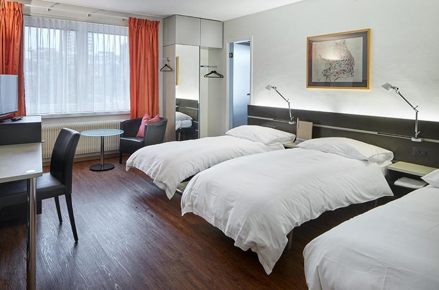Hotel Du Commerce Basel Exterior photo